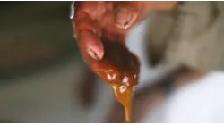 Why Wild Panela Sugar Is So Expensive