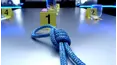 Crime Scene Solvers