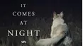 It Comes at Night
