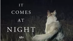 It Comes at Night
