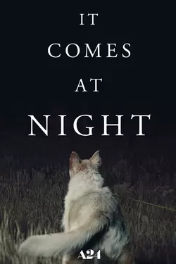 It Comes at Night