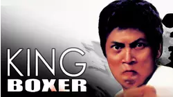 The King Boxer