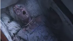 Night of the Paw; Times is Tough in Musky Holler