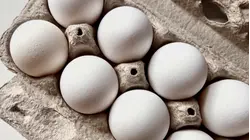 Egg Firms Shell Out $3.3M, 53M Eggs in Price-Fixing Settlement