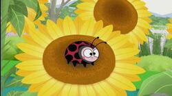 Once upon a time there was a seed