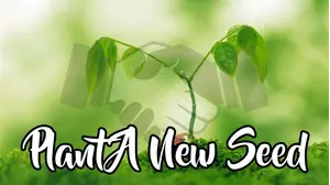 Plant A New Seed