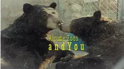 Alpine Zoos and You (2020)