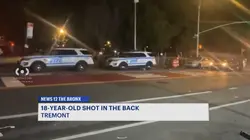 Man injured in Tremont shooting