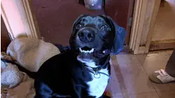 A Remarkable Turnaround