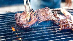How to Choose the Right Grill for Summer