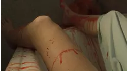 Andrea Illona Budach's Disappearance