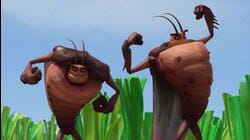 Ronin Roaches