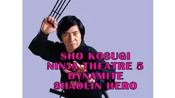 Shaolin Dynamite Heroes: Sho Kosugi Theatre Vol. 5