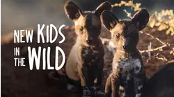 New Kids in the Wild