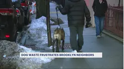 Residents say they are fed up with dog owners refusing to scoop up poop on sidewalks