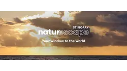A Day in Paradise 1