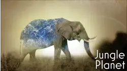 Jungle Planet