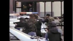 World's Wildest Police Videos