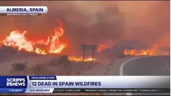 Deadly blaze sweeps through Southern Spain as Europe endures a heat wave