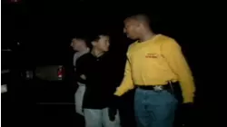 Waitress in Disguise