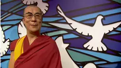 Seat Belts and Windows