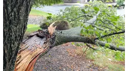 Storm damage leaves roads blocked and power outages across Rockland County