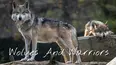 Wolves And Warriors