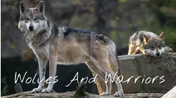 Operation Wolfguard