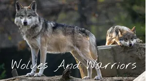 Operation Wolfguard