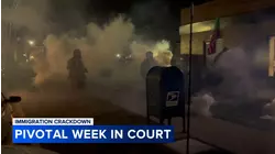 ICE, CBP officials to testify on agents' use of force, tear gas Monday