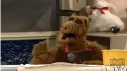 ALF: S1 E8 - Don't It Make My Brown Eyes Blue?