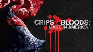 Crips And Bloods: Made In America
