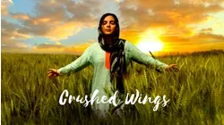 Crushed Wings