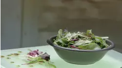 Indy Steering Wheels