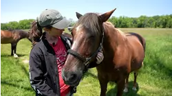Horses spend their golden years at Ryerss Farm for aged equines