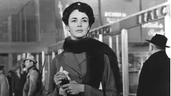 Indiscretion of an American Wife