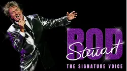 Rod Stewart: The Signature Voice