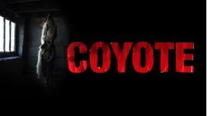Coyote
