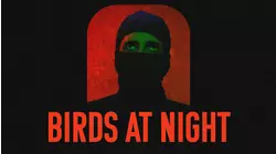 Birds at Night