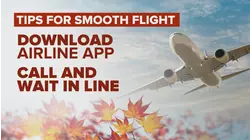 Holiday travel crush