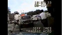 World's Wildest Police Videos