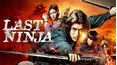 Last Ninja - Red Shadow
