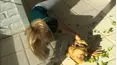 World's Funniest Moments