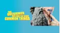 The Uncommon History of Very Common Things