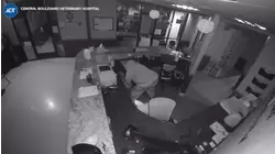 Video shows thieves stealing pet ashes from Bay Area veterinary hospital