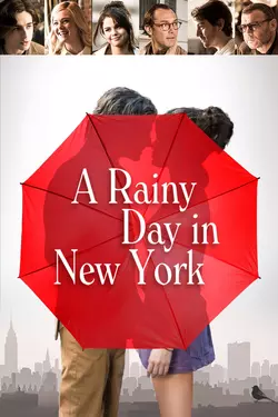 A Rainy Day in New York