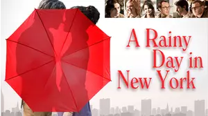 A Rainy Day in New York