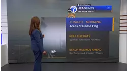 AccuWeather Forecast: Dense fog overnight into tomorrow morning