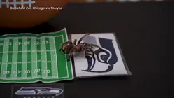 Animals predicting the Super Bowl