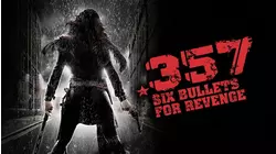 .357 Six Bullets for Revenge